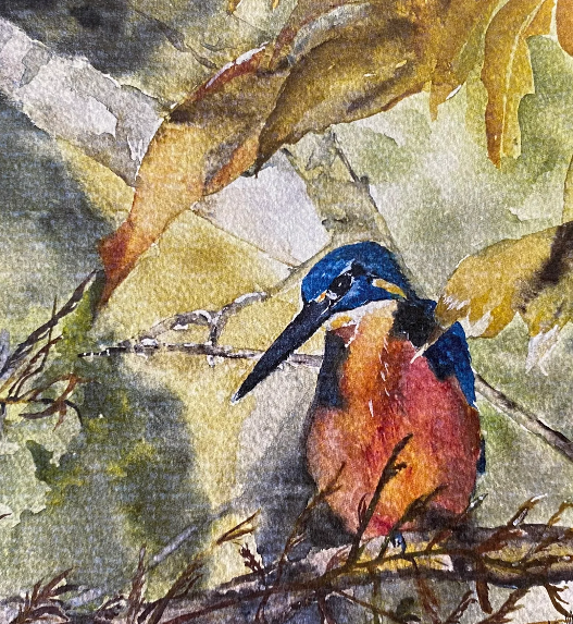 KINGFISHER - GREETING CARD